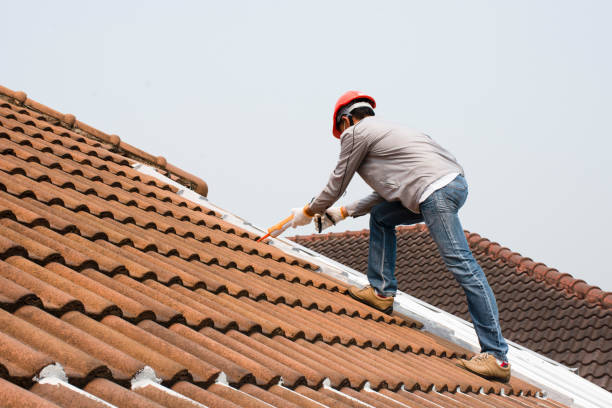 Roof Insulation in Citrus Hills, FL